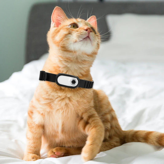 PetCam Explorer - Collar for Dogs & Cats